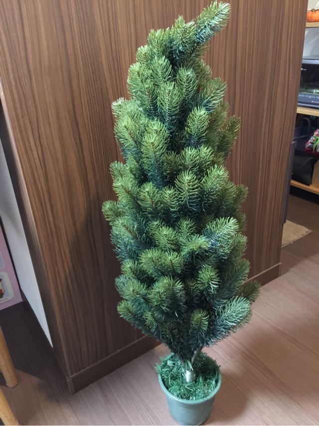 【まだ間に合う！】1年越しで買えました！まるで本物のもみの木！ PLASTIFLOR社のクリスマスツリー